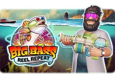 ivibet com