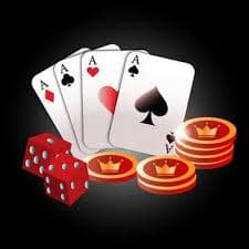 ivibet com
