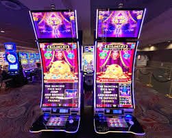 ivibet com