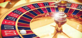 ivibet com