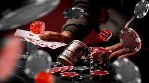 ivibet com
