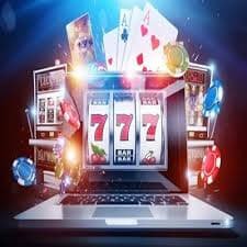 ivibet com