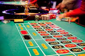 ivibet com
